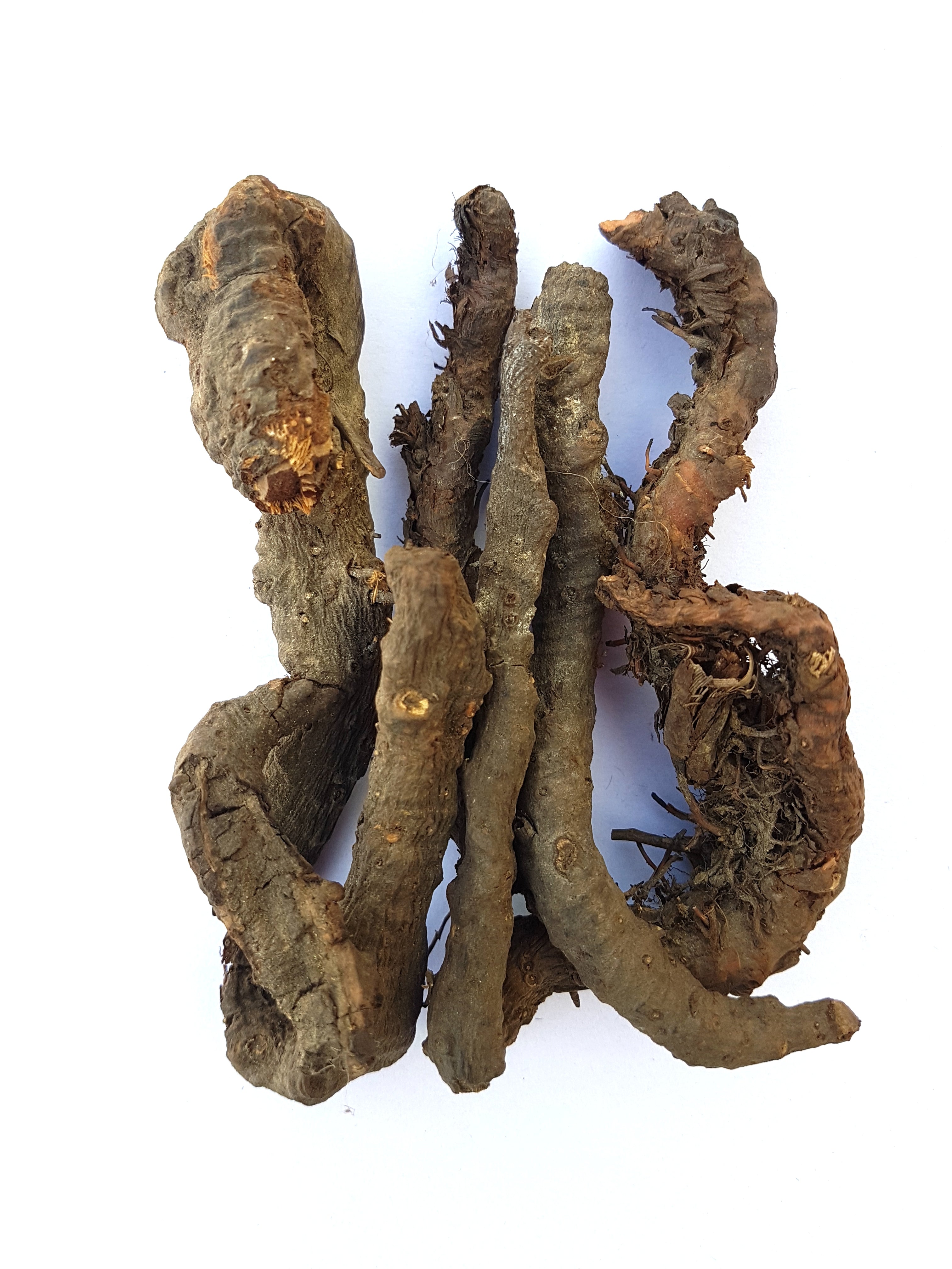 Anjwar Alpine Bistort 1Kg