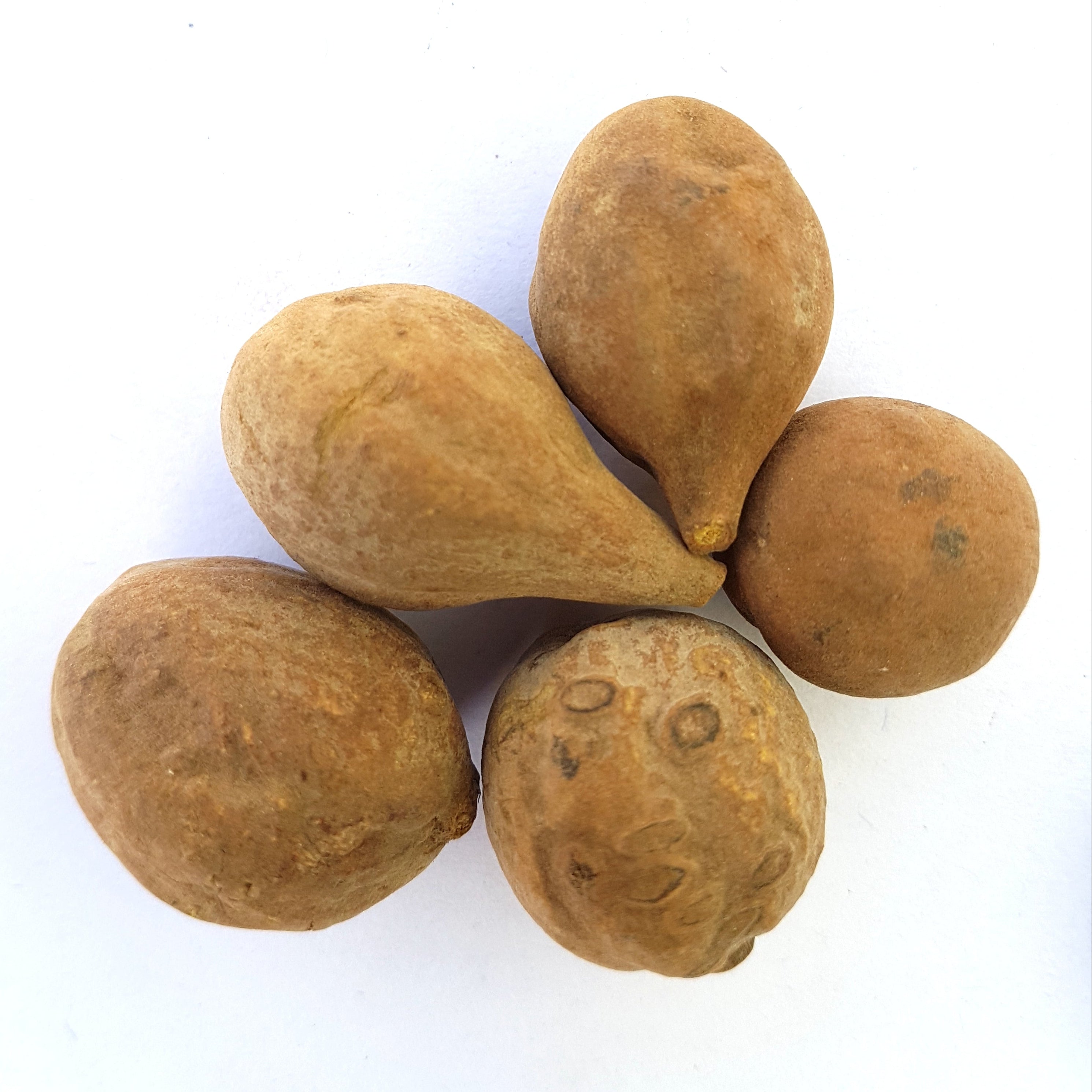 Baheda | Bibhitaki 1Kg