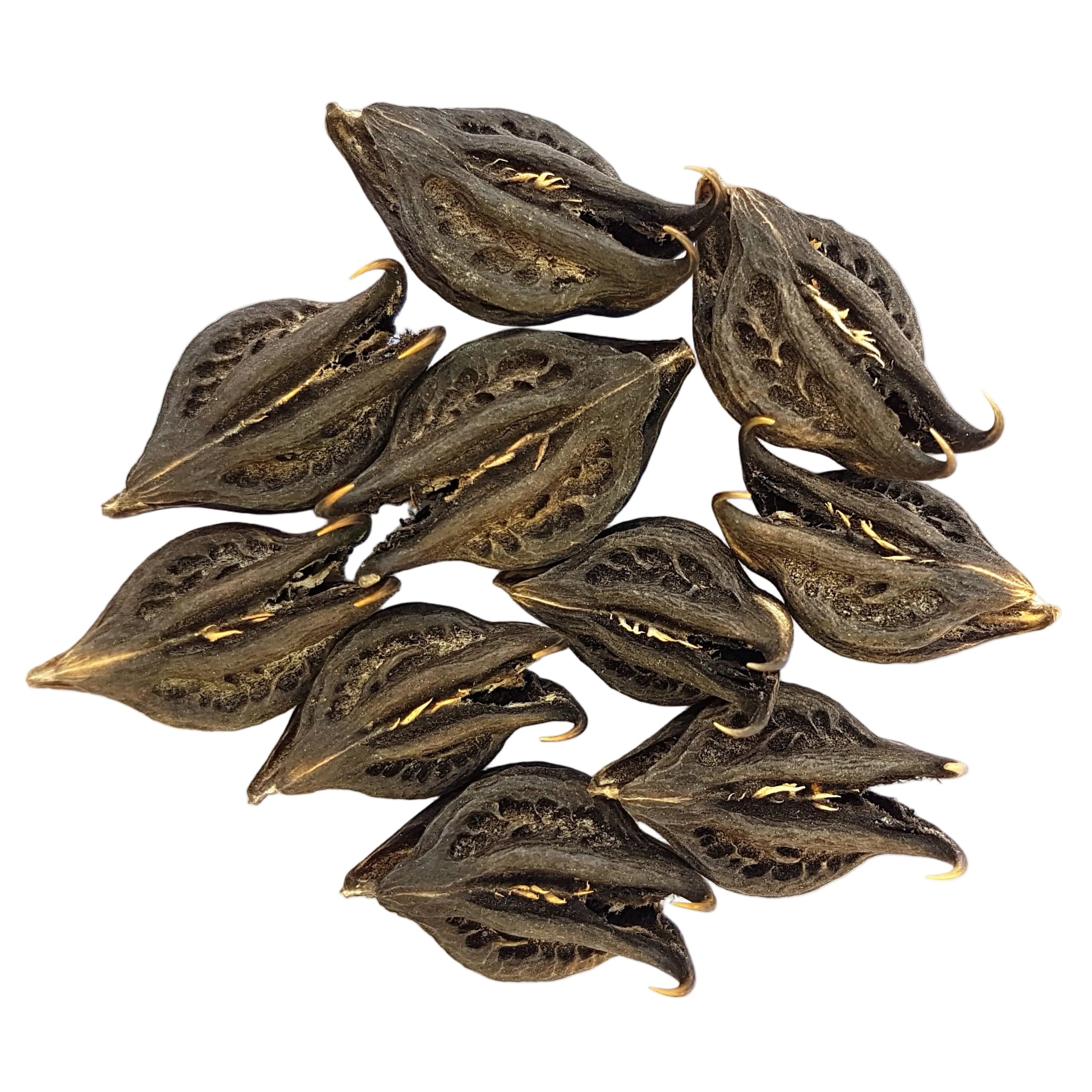 Bichoofal | Devil's Claws 1Kg