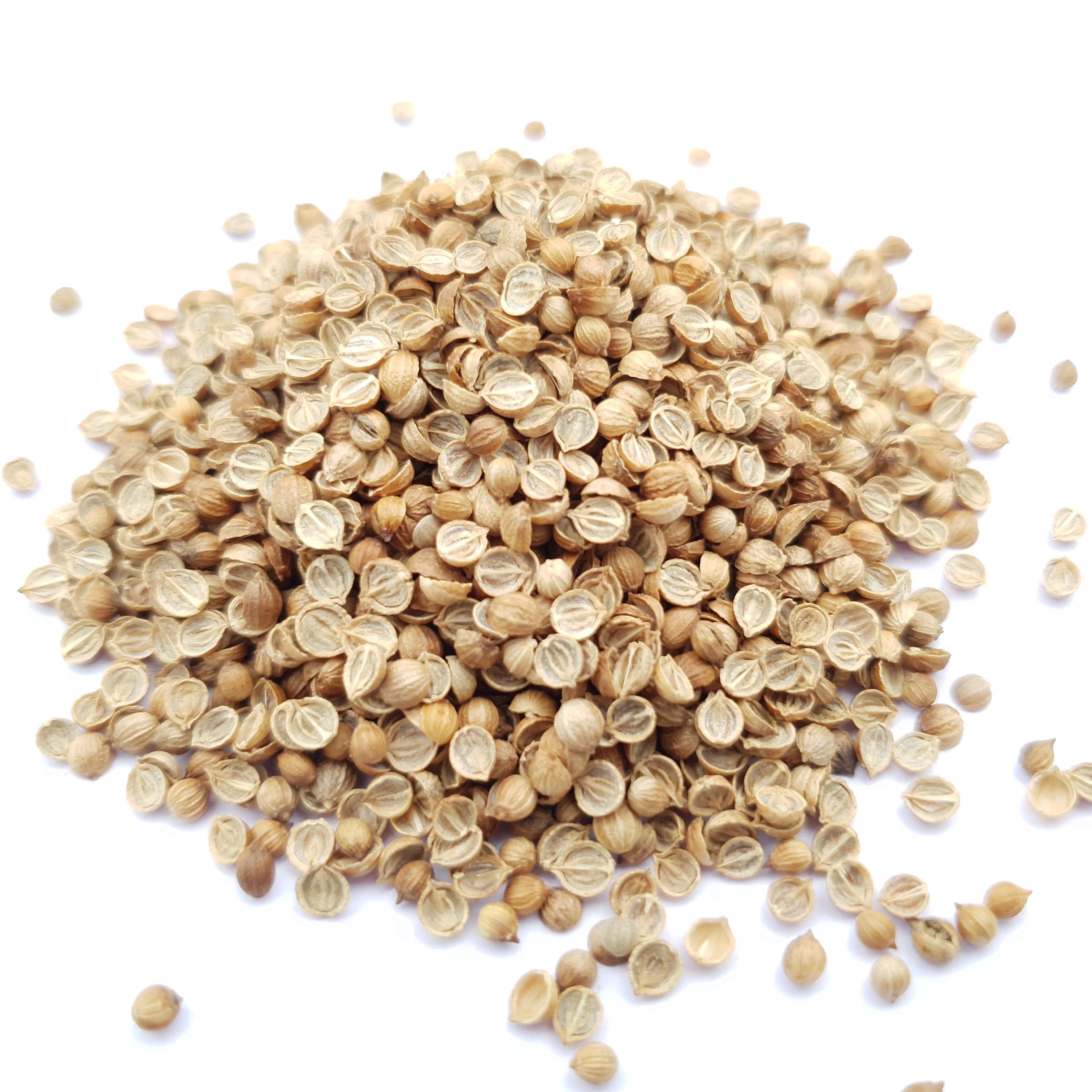 Coriander Seeds | Dhaniya 200g