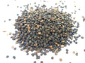 Dhatura Seeds | Satyanashi Seeds 1Kg