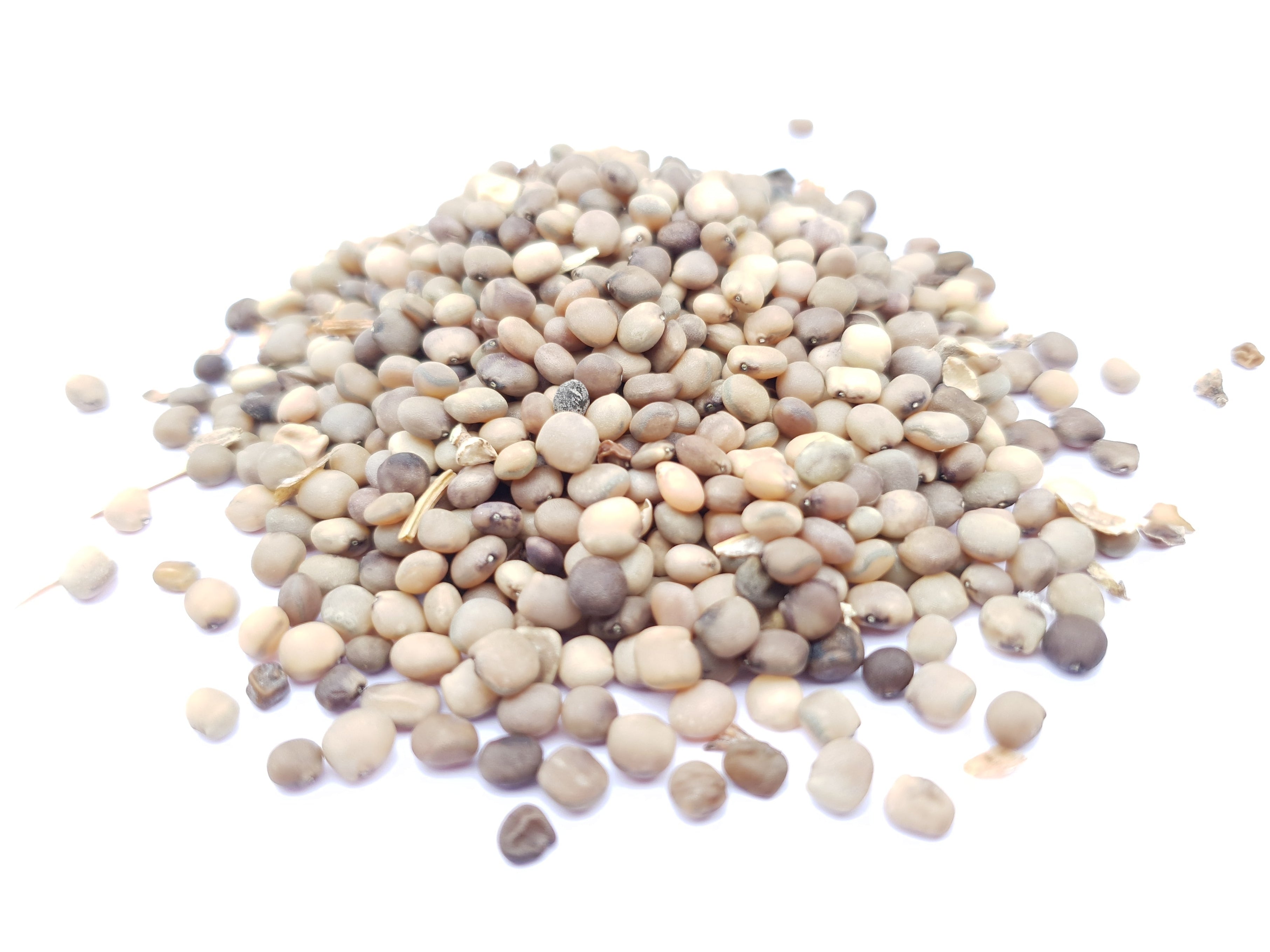 Guwar Seeds | Cluster Beans 200g