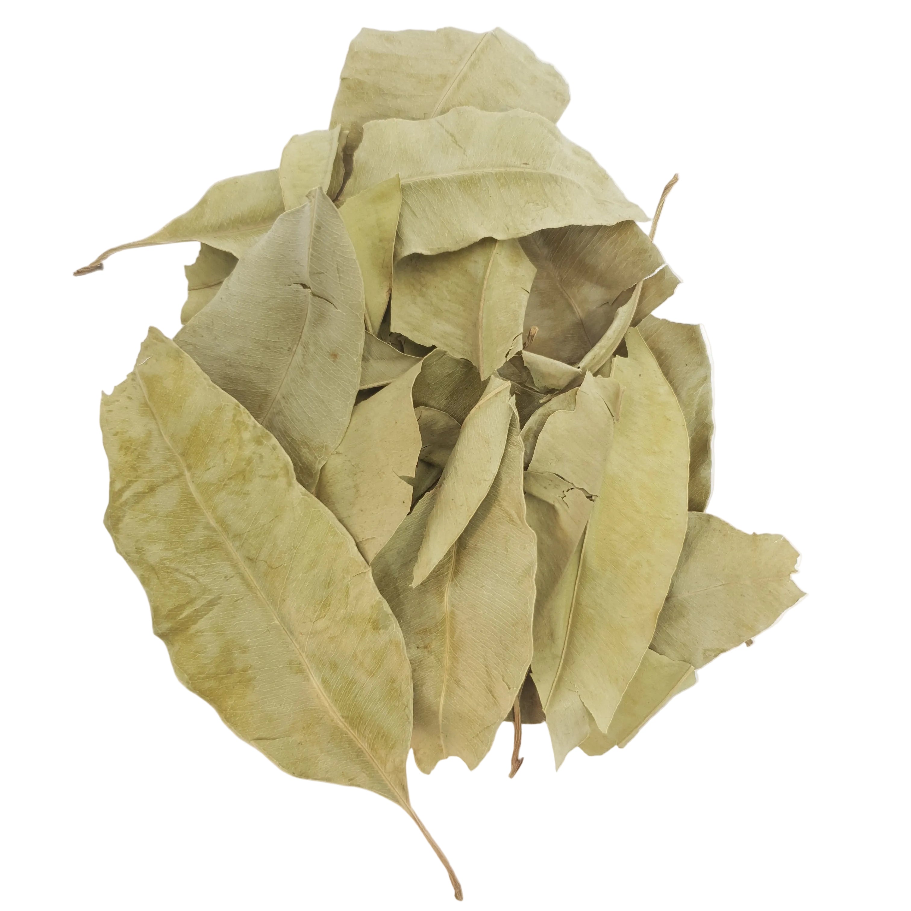 Jamun Leaves | Blackberry 1Kg