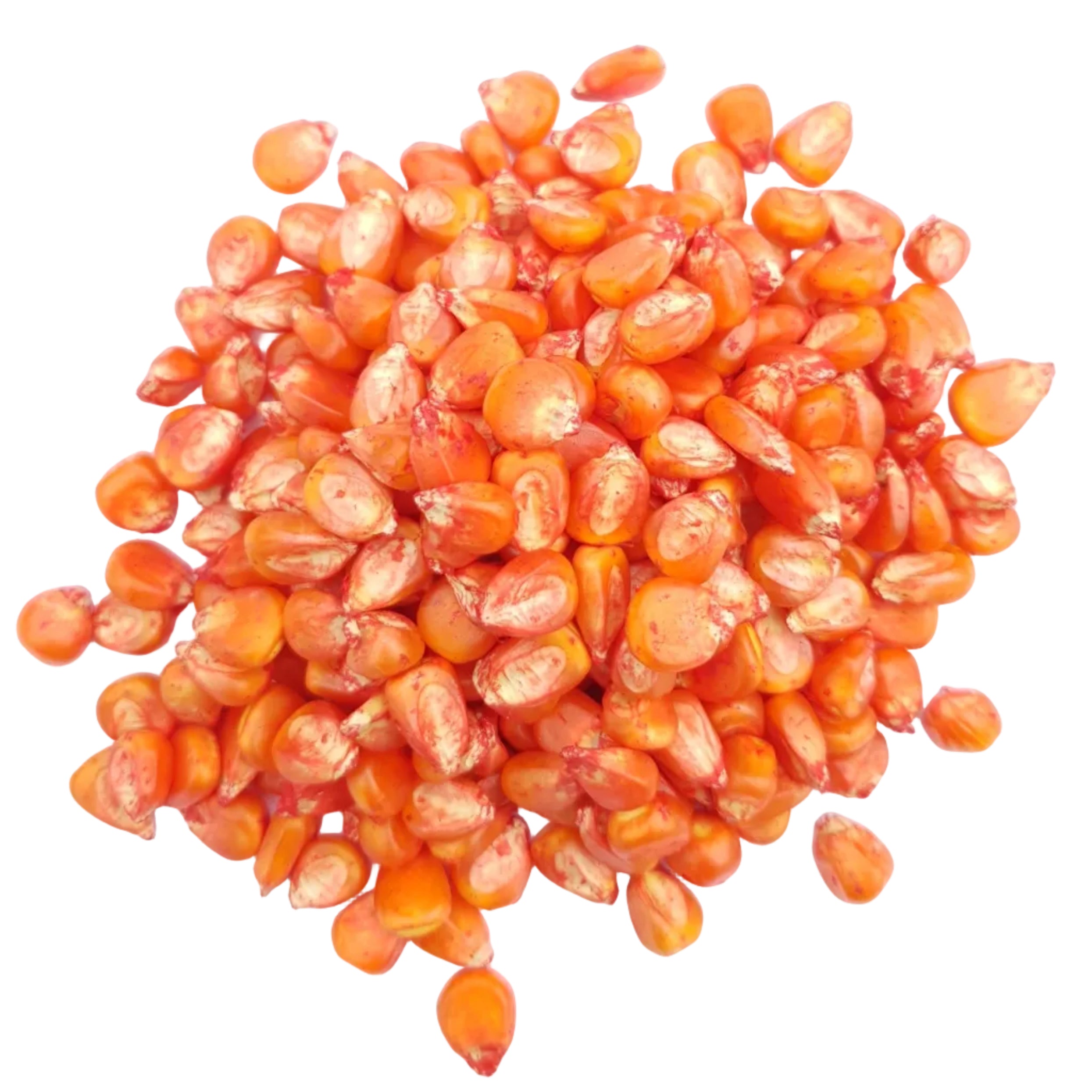 Maize Seeds 200g
