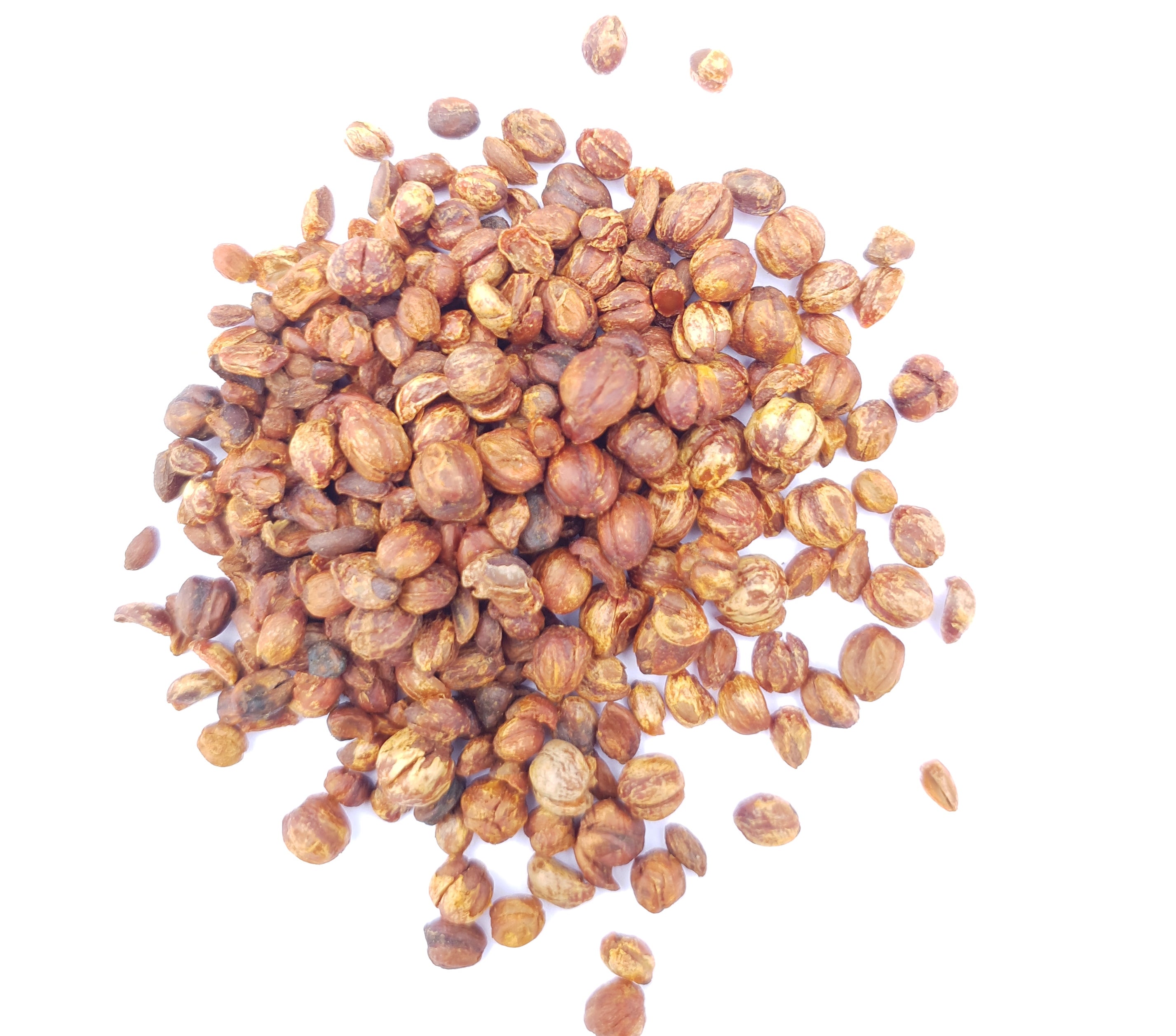 Malkangani | Celastrus Paniculatus | Malkangini 500g