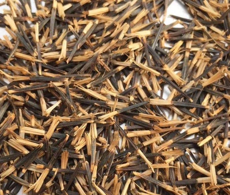 Marigold Seeds 200g