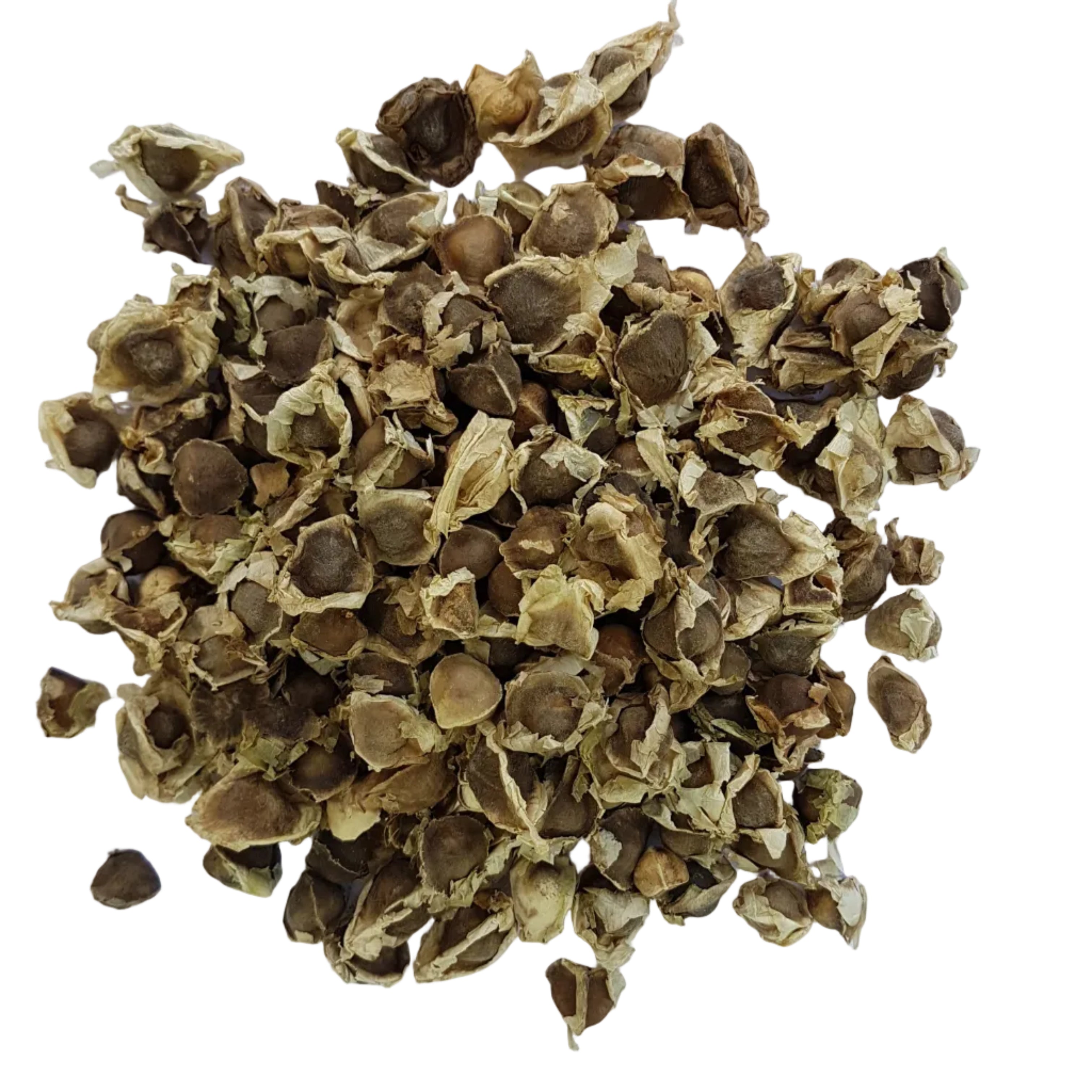 Moringa Seeds | Drumstick 200g