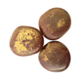 Imli Pahadi Beej | Mountain Tamarind Seeds 1Kg