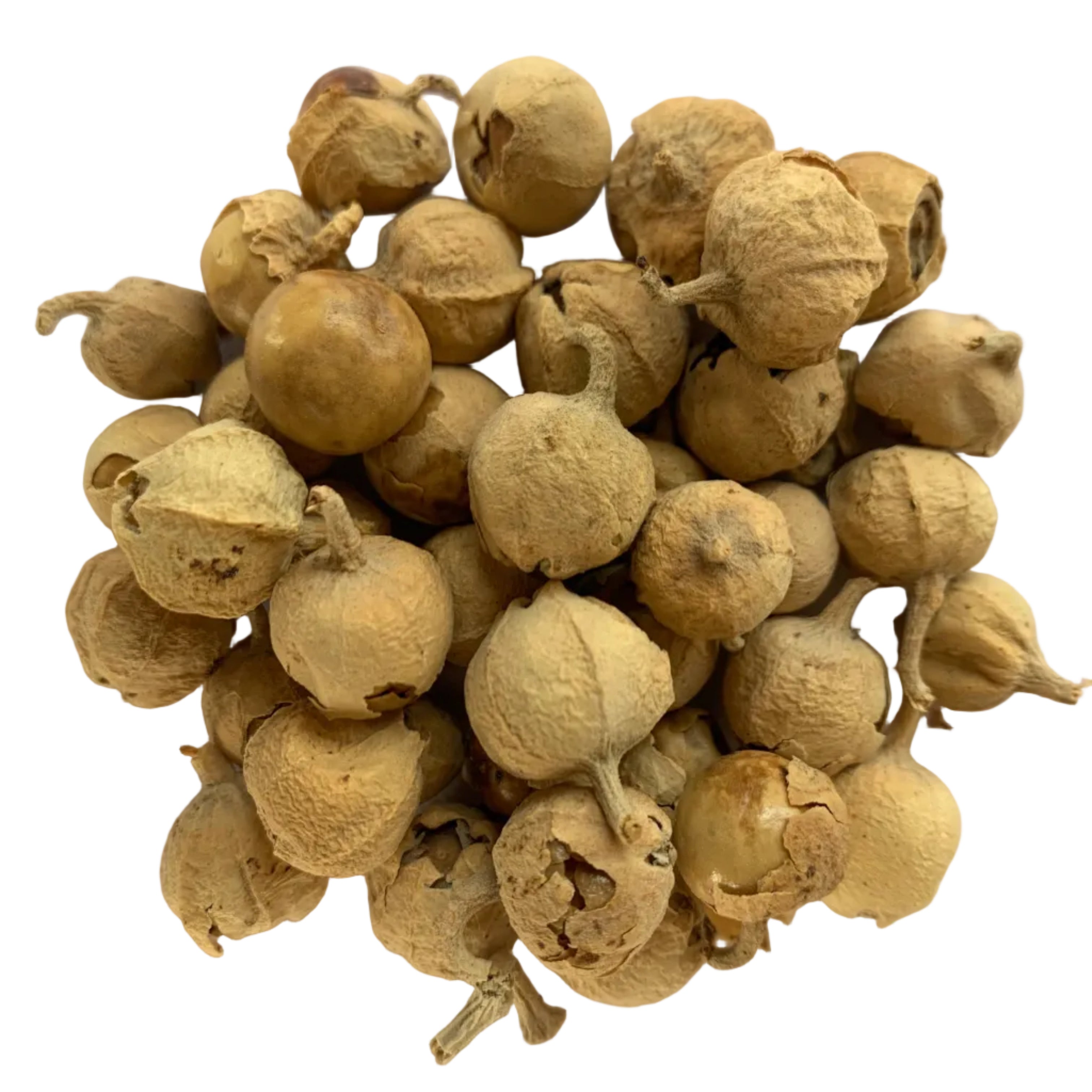 Paneer Dodi 500g