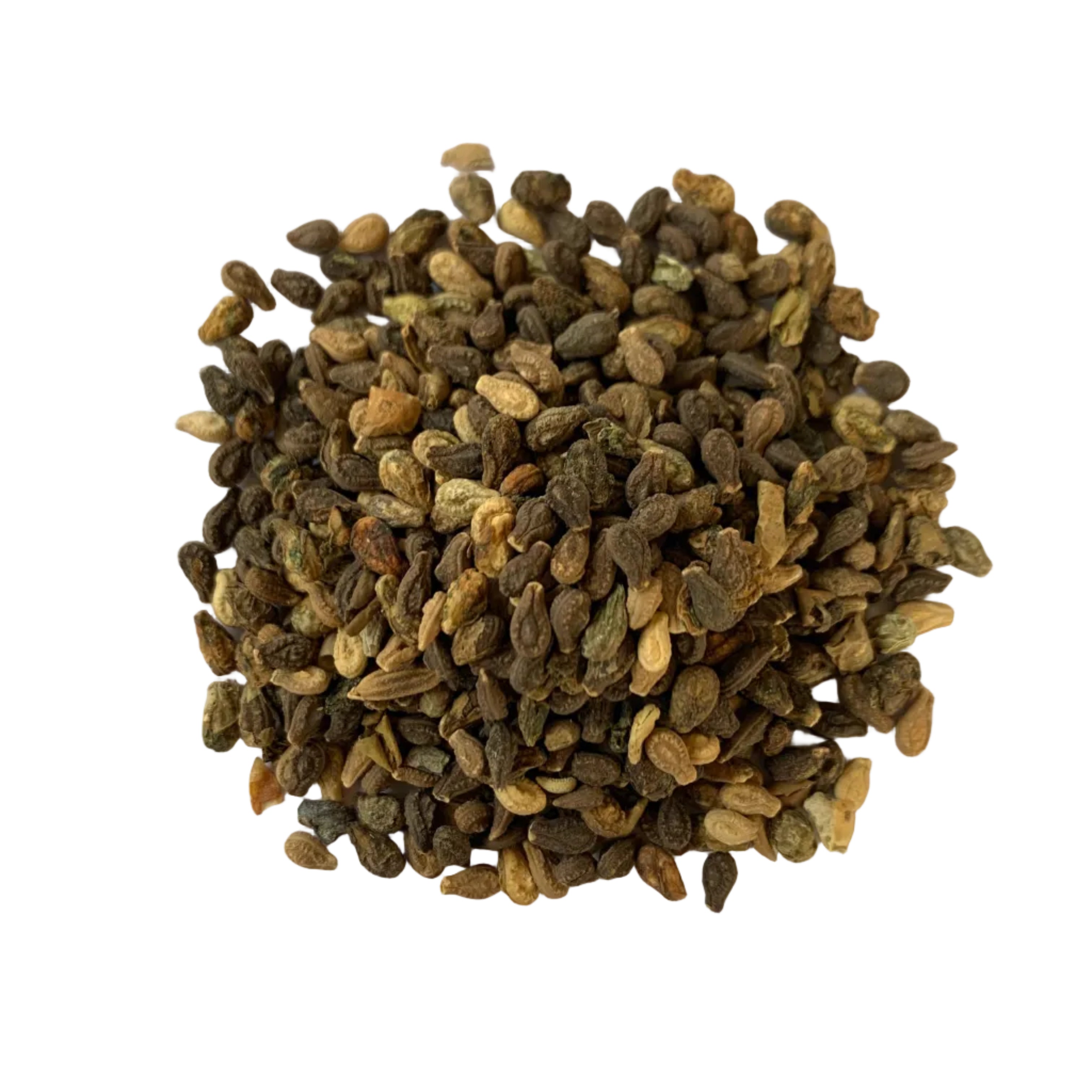 Shivlingi Beej | Shivlangi 1kg