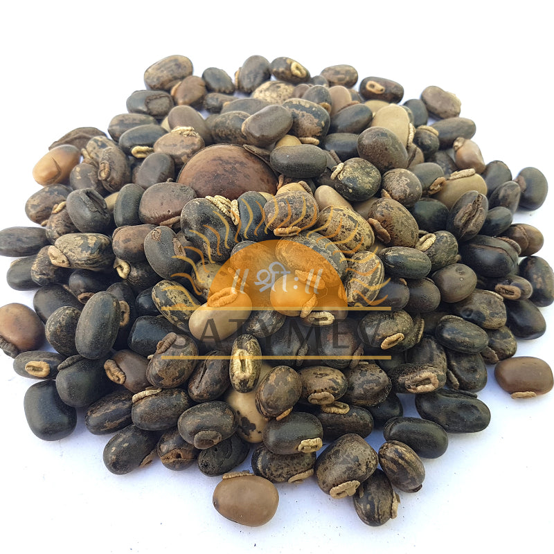 Black Kaunch Seeds | Mucuna 1kg