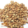 Karela Beej | Bittergourd Seeds 200g