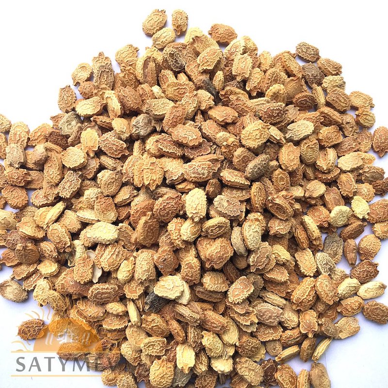 Karela Beej | Bittergourd Seeds 200g