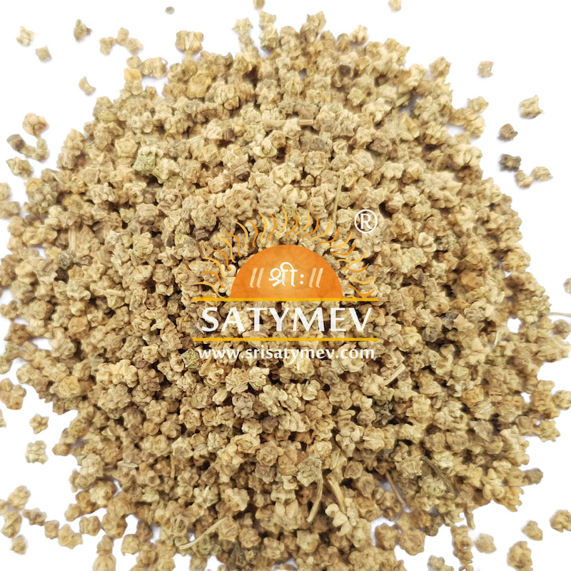 Palak Seeds 200g