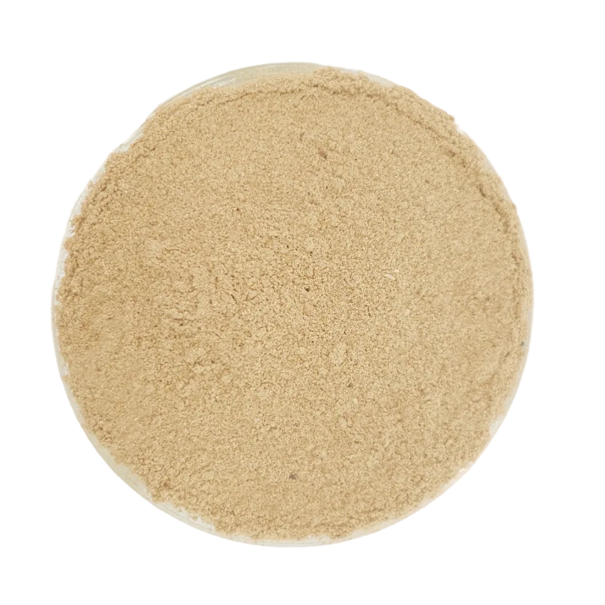 White Sandalwood Powder | Safed Chandan 200g