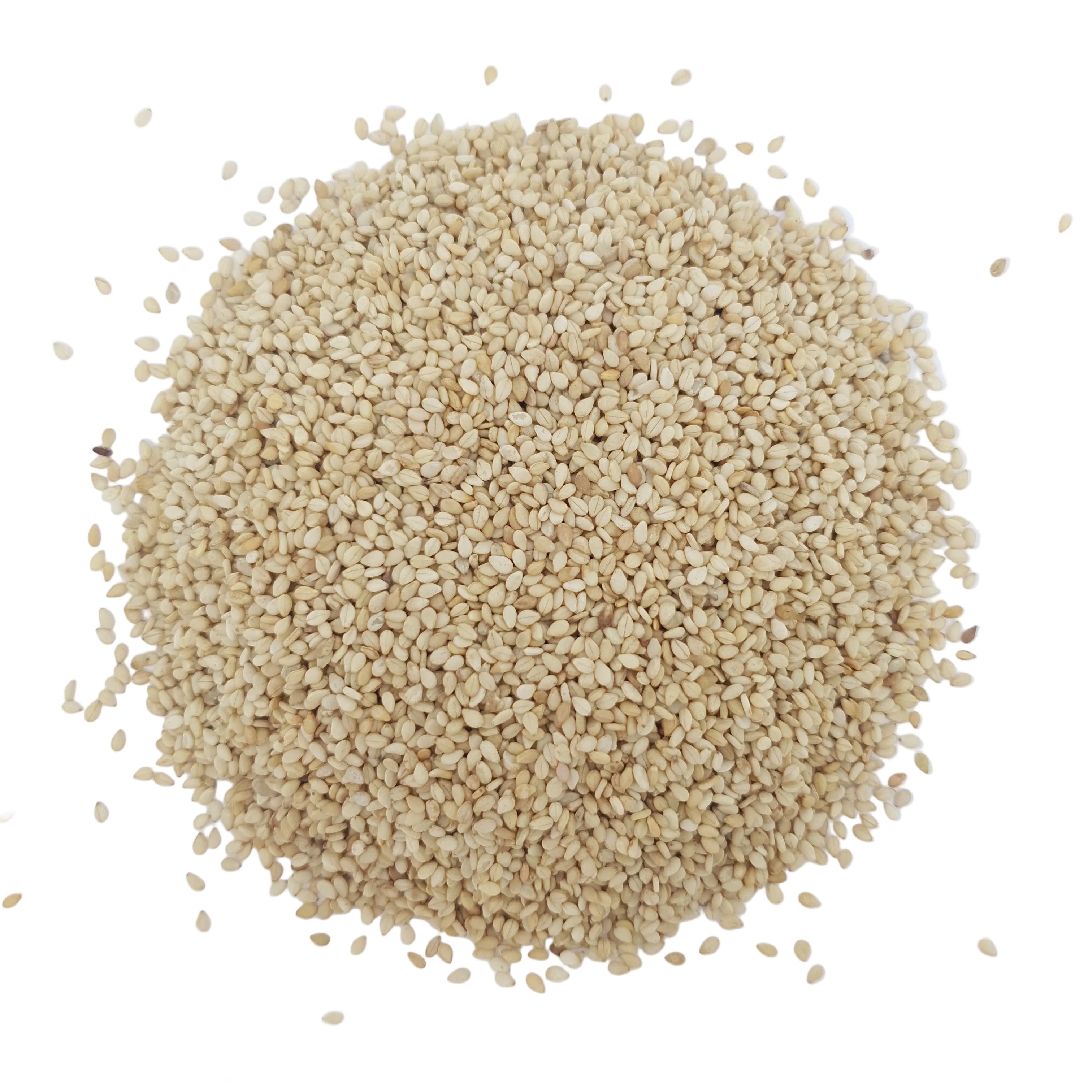 Sesame Seeds White | Safed Till 1kg