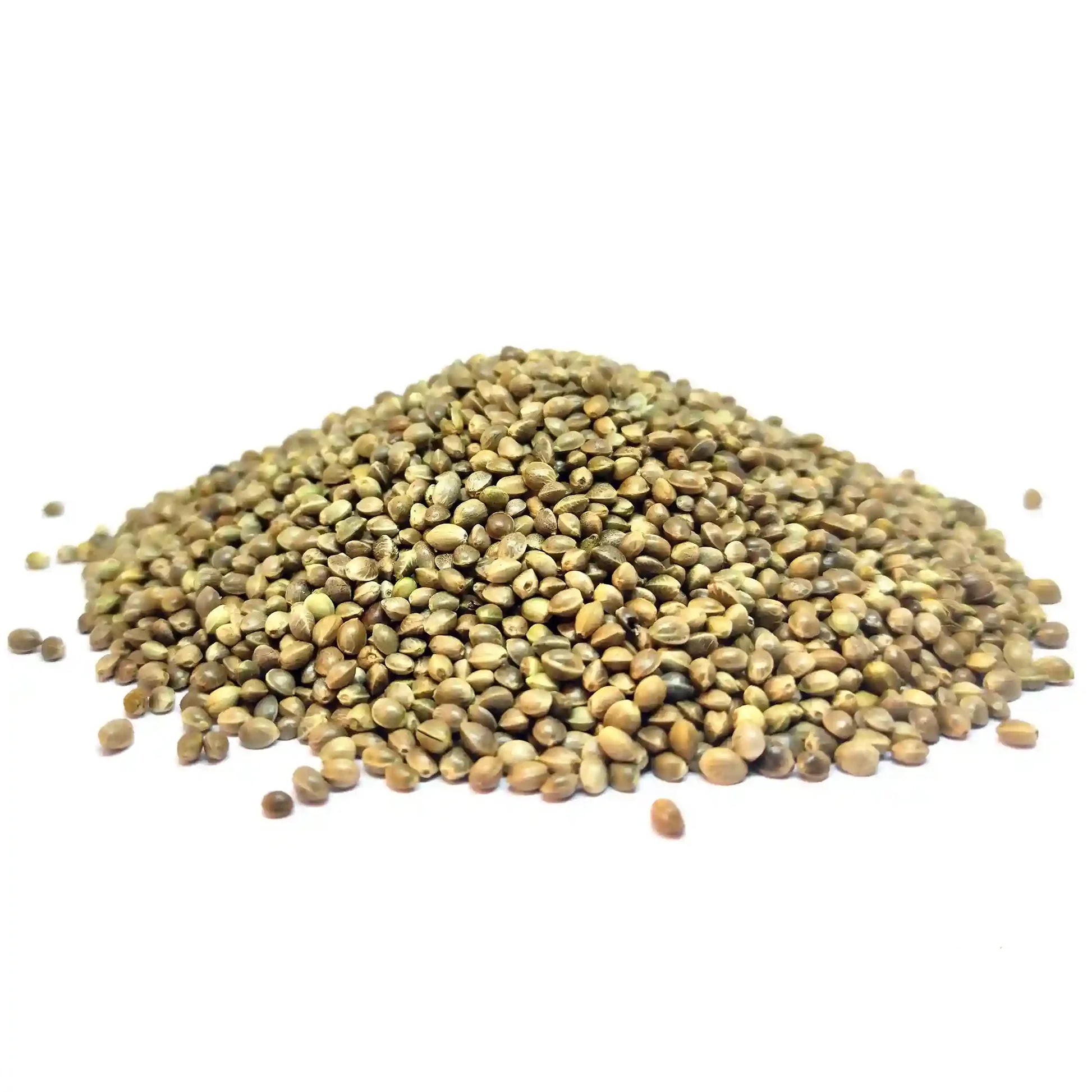 Bhang Beej | Hemp Seeds 1Kg