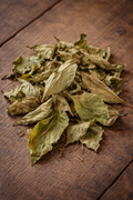 Harshingar Leaves | Parijata 1Kg